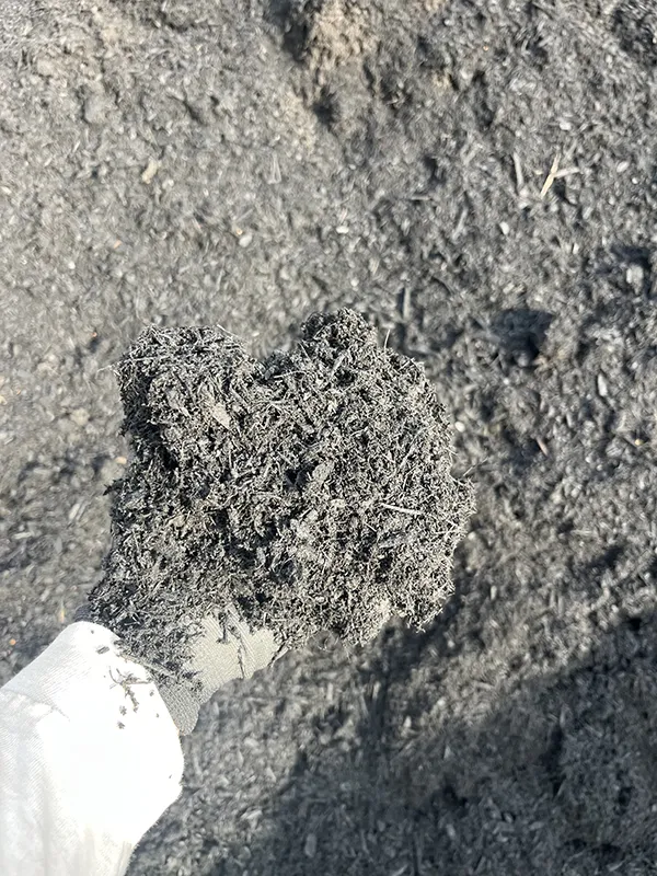 Dyed Black Mulch