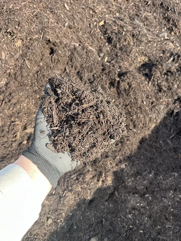 Dyed Brown Mulch